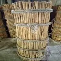 C4 Grade Cinnamon Bales