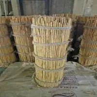 C5 Grade Cinnamon Bales