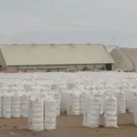 Raw Cotton