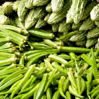 Okra