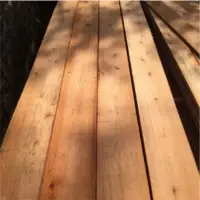 Lumber Of Eucalyptus Grandis