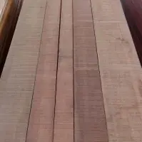 Lumber Of Eucalyptus Grandis