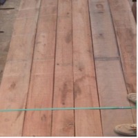 Lumber Of Eucalyptus Grandis