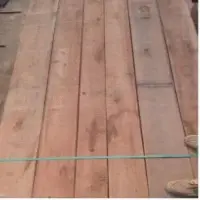 Lumber Of Eucalyptus Grandis