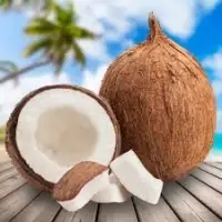 Dry Coconut