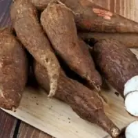Tapioca