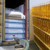 Sunflower Oil