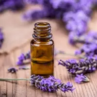 Lavander Oil