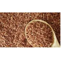 Brown Rice