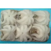 Frozen Baby Octopus