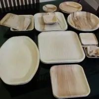 Areca Palm Leaves Plates