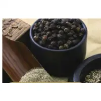 Pepper