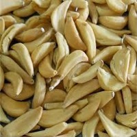Dehydrated Garlic