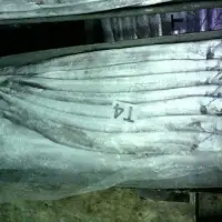 Indonesian Frozen Ribbonfish
