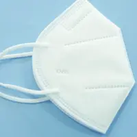 KN95 Face Mask