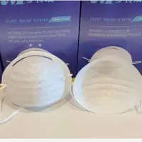 N95 Cupped Mask