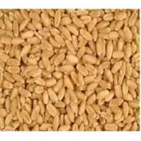 Wheat And Wheat Flour