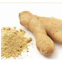 Kion Powder