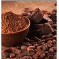 Organic Certified Criollo Cacao Powder