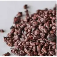 Organic Certified Criollo Cacao Nib