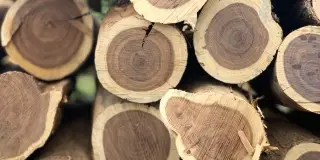 Louth Firewood company image 2