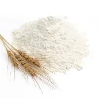 High Quality Wheat Flour