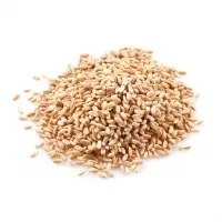 Premium Wheat Grain