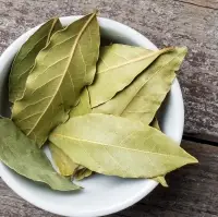 Bay Leaf