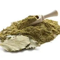 Ground Bay Leaf