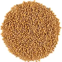 Whole White Mustard
