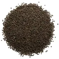 Whole Black Mustard