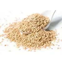 White Sesame Seeds