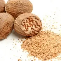 Ground Nutmeg