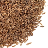 Caraway