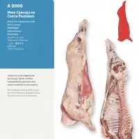 Primal Cut Or Beef Carcass Side