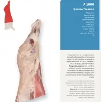 Hindquarter
