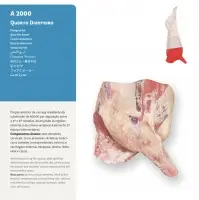 Forequarter