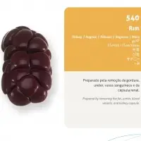 Kidney