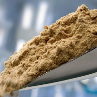 Fish Meal