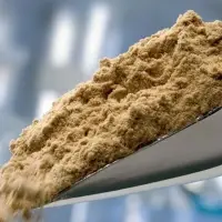 Fish Meal