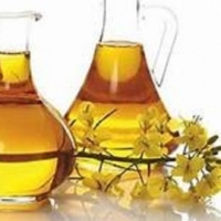 Crude Rapeseed Oil
