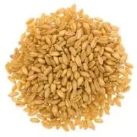 Soft Wheat