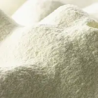 Powdered Milk