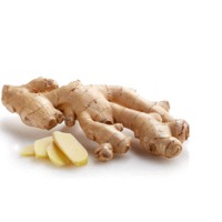 Ginger