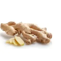 Ginger