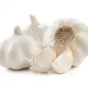 White Garlic