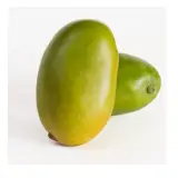 Fresh Mango - Zebdia
