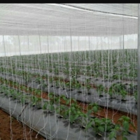 Net House
