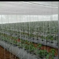 Net House