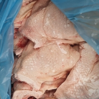 go4_apollo_MOHAMED_og_imageUrl_1614849512 Frozen Chicken Suppliers